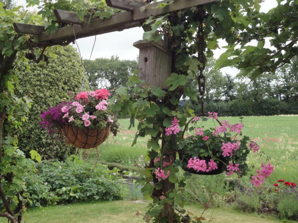 Riethove Bed & Breakfast Harlingen Eksteriør bilde