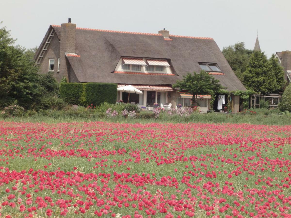 Riethove Bed & Breakfast Harlingen Eksteriør bilde